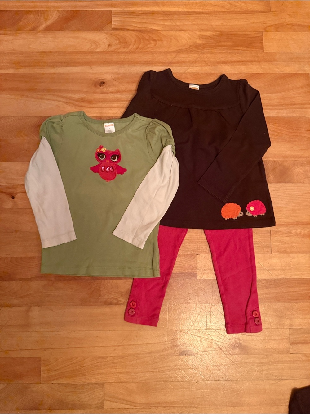 Gymboree Green Long Sleeve Top with Pink Owl Applique